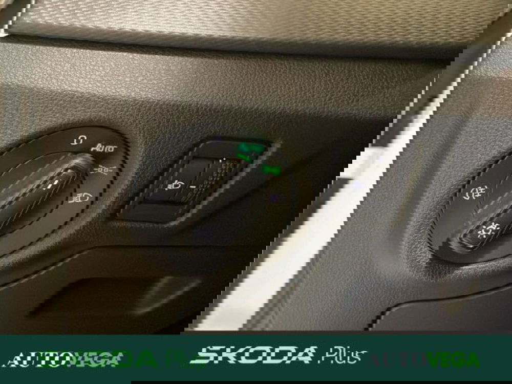 Skoda Kamiq usata a Vicenza (15)