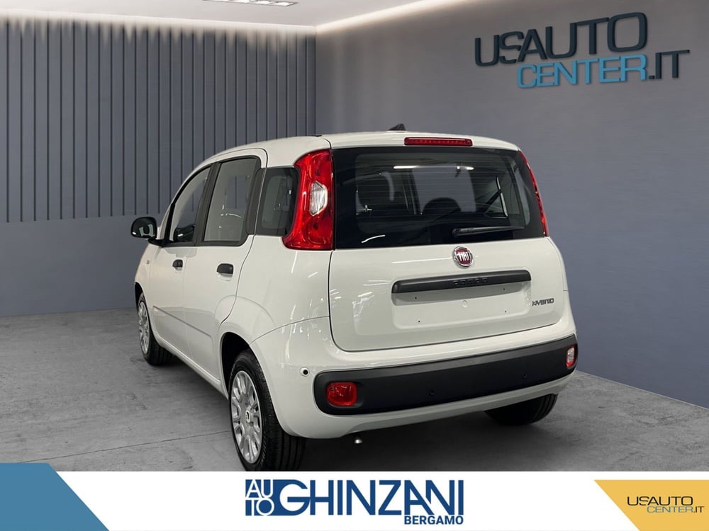 Fiat Panda Cross nuova a Bergamo (2)
