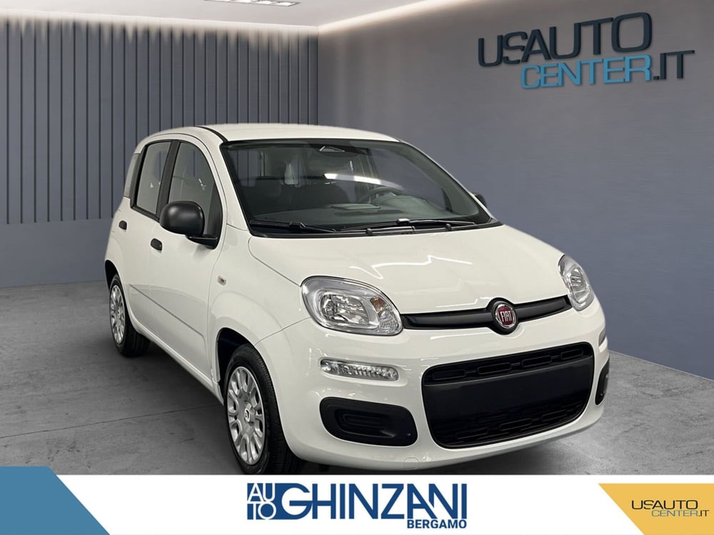 Fiat Panda Cross nuova a Bergamo (3)