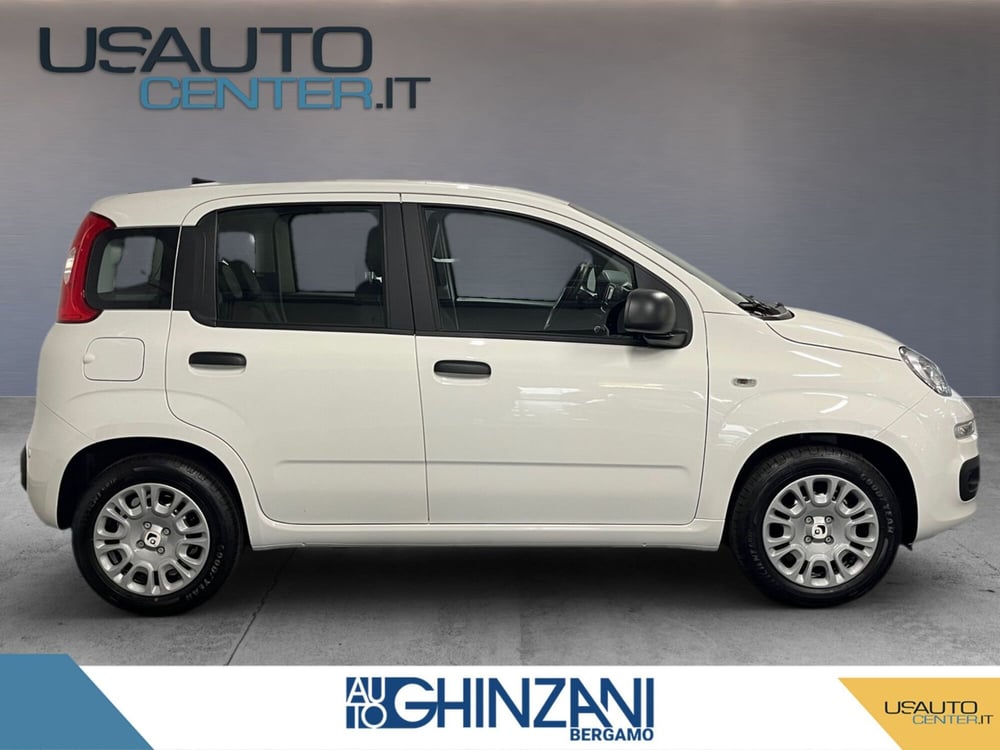 Fiat Panda Cross nuova a Bergamo (5)