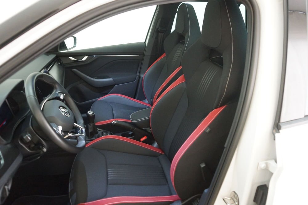 Skoda Kamiq usata a Torino (9)