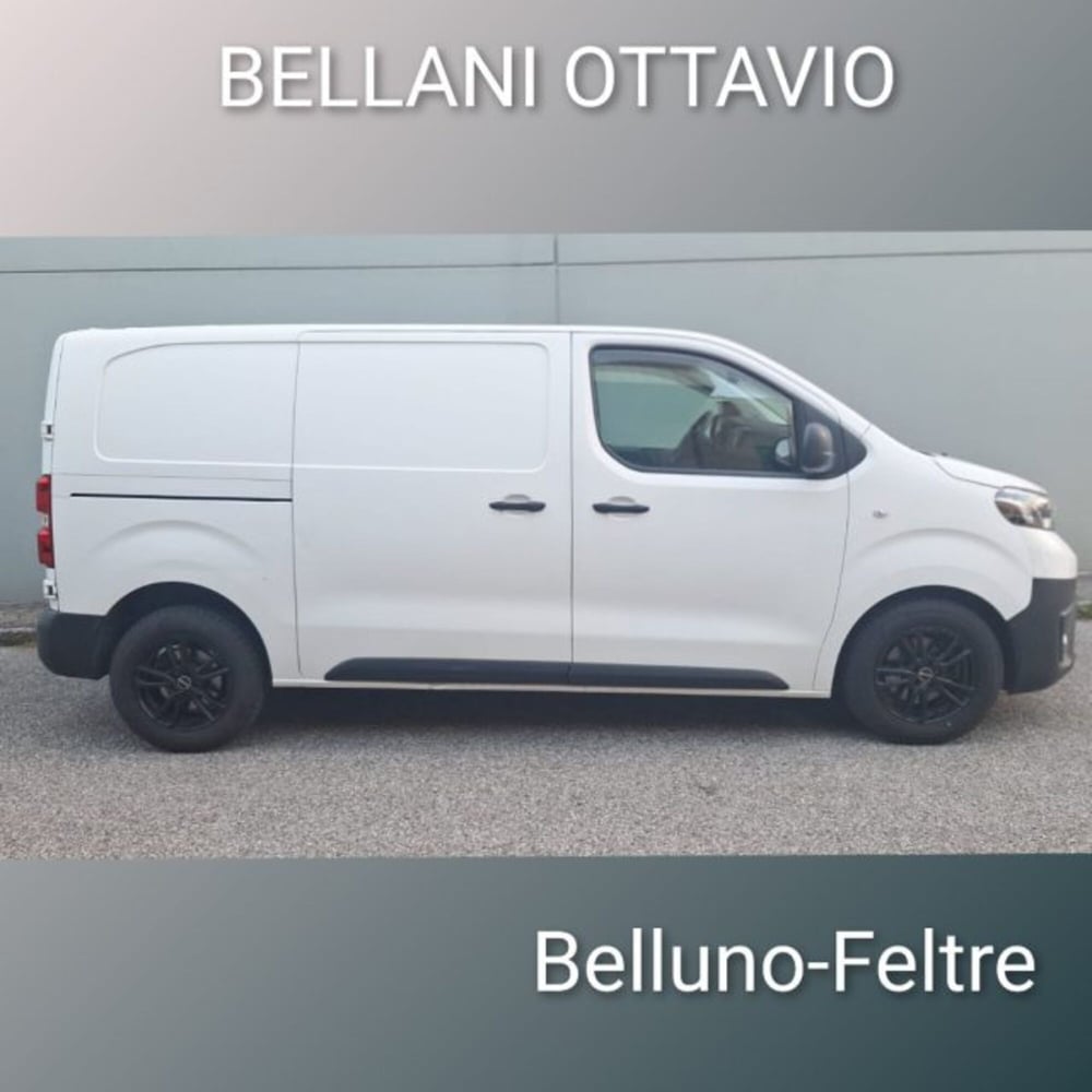Toyota Proace usata a Belluno (4)