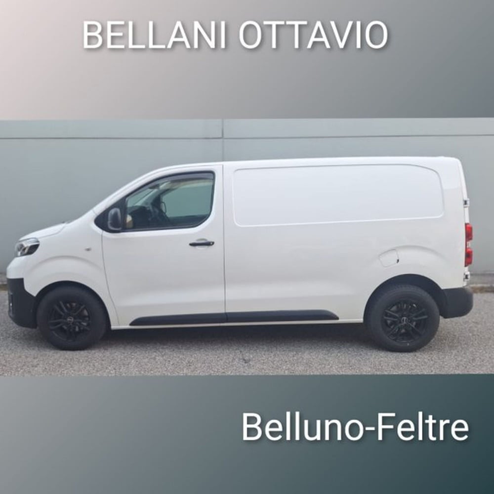 Toyota Proace usata a Belluno (6)