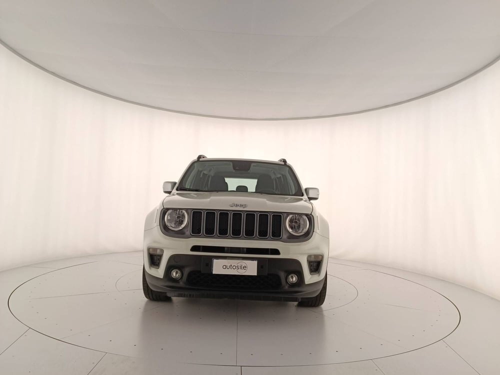 Jeep Renegade usata a Treviso (2)