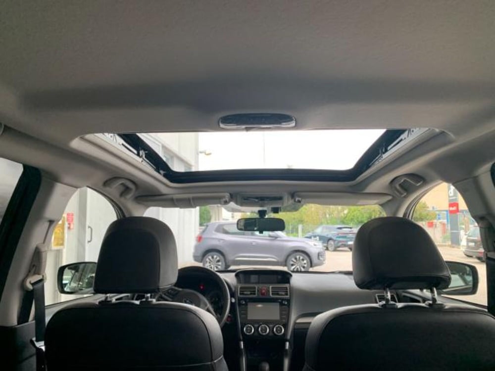 Subaru Forester usata a Trieste (16)