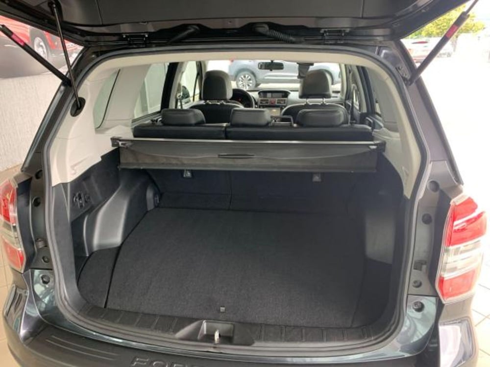 Subaru Forester usata a Trieste (17)