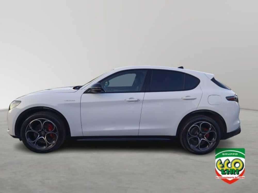 Alfa Romeo Stelvio usata a Frosinone (3)