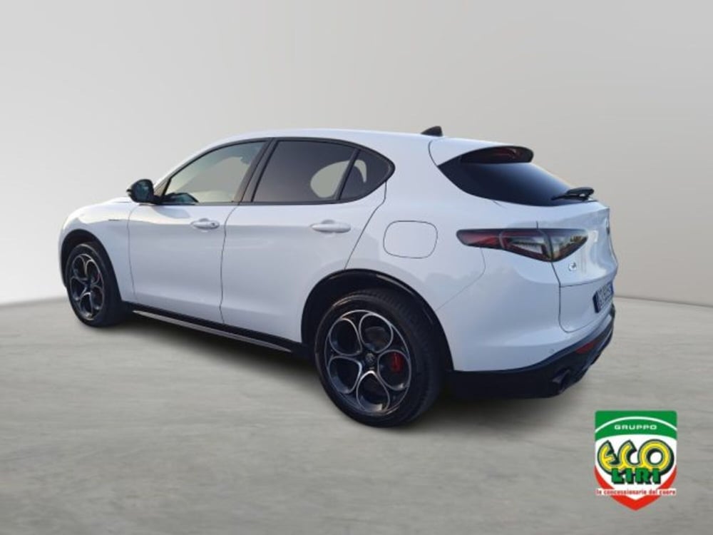 Alfa Romeo Stelvio usata a Frosinone (4)
