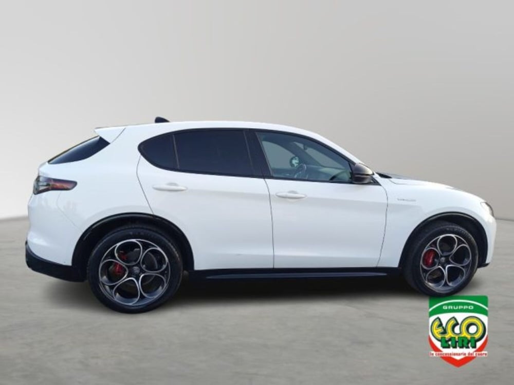 Alfa Romeo Stelvio usata a Frosinone (7)