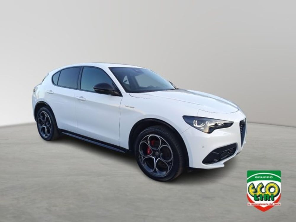 Alfa Romeo Stelvio usata a Frosinone (9)