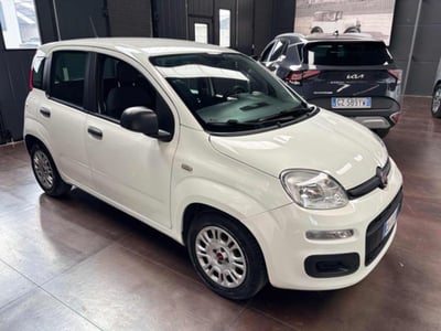 Fiat Panda 1.0 firefly hybrid s&amp;s 70cv 5p.ti del 2020 usata a Pesaro