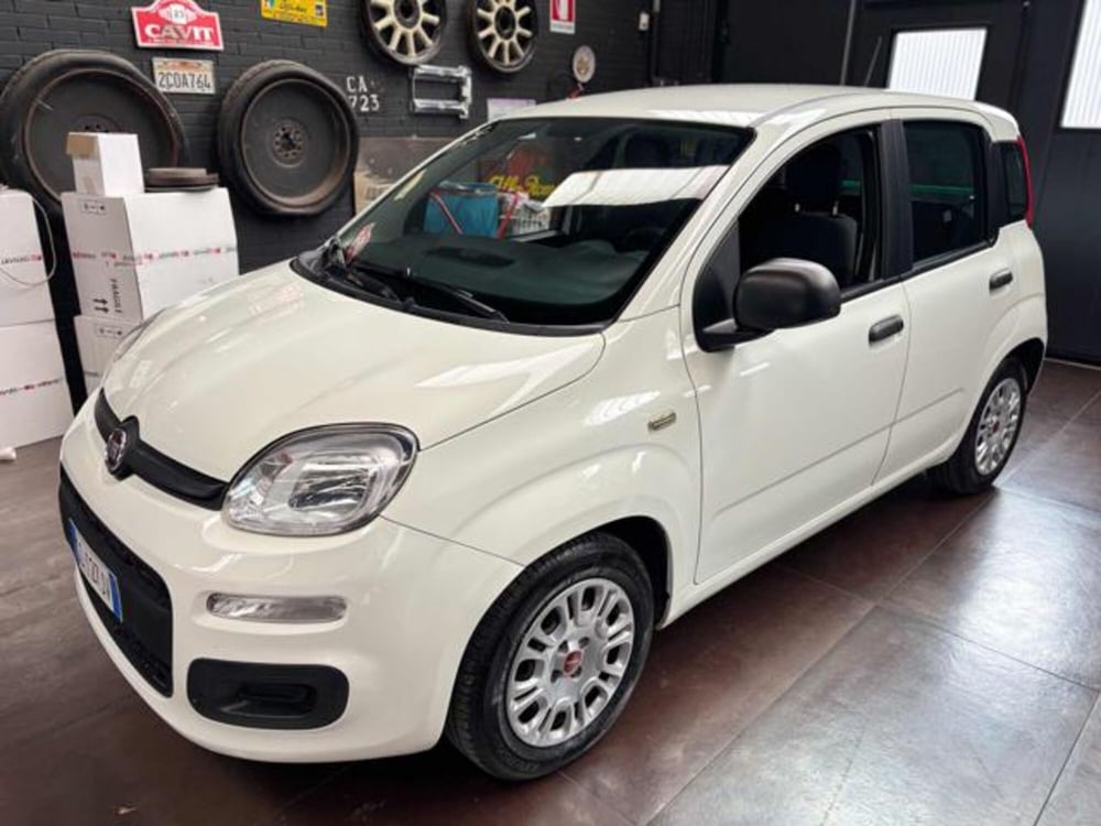Fiat Panda usata a Pesaro-Urbino (2)