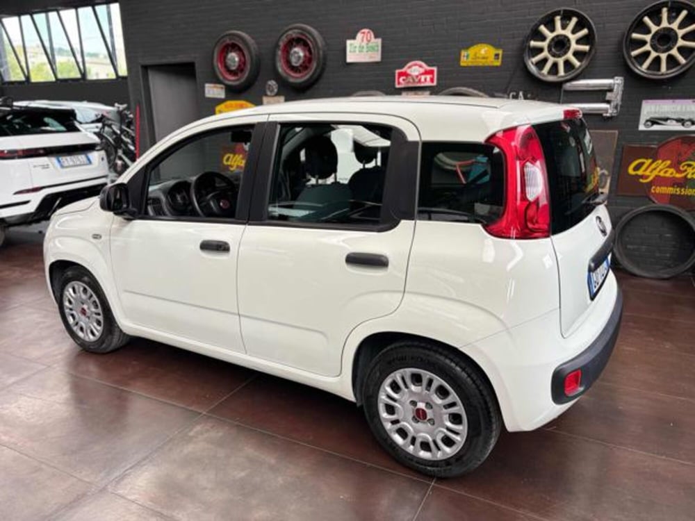 Fiat Panda usata a Pesaro-Urbino (4)