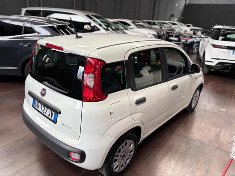 Fiat Panda usata a Pesaro-Urbino (5)