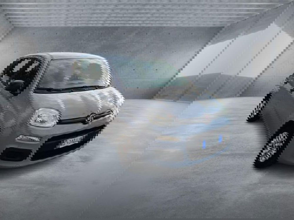 Fiat Panda usata a Bari