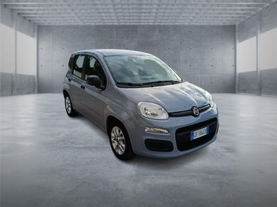 Fiat Panda 1.0 firefly hybrid s&amp;s 70cv 5p.ti del 2021 usata a Bari