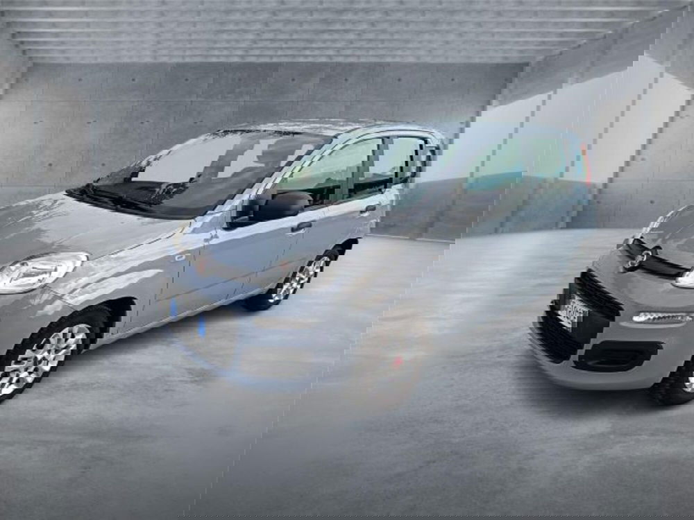 Fiat Panda usata a Bari (3)