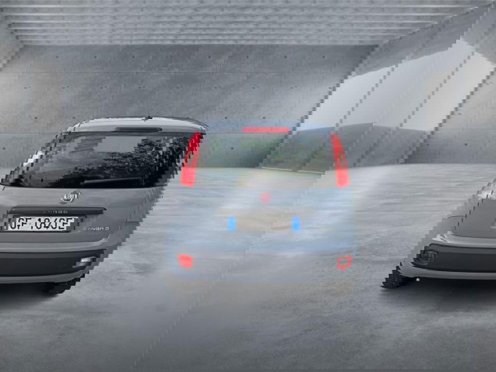 Fiat Panda usata a Bari (5)