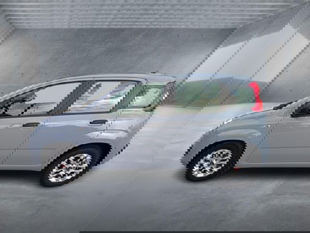 Fiat Panda usata a Bari (7)