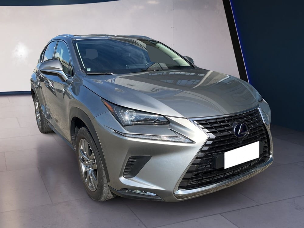 Lexus NX usata a Torino (3)