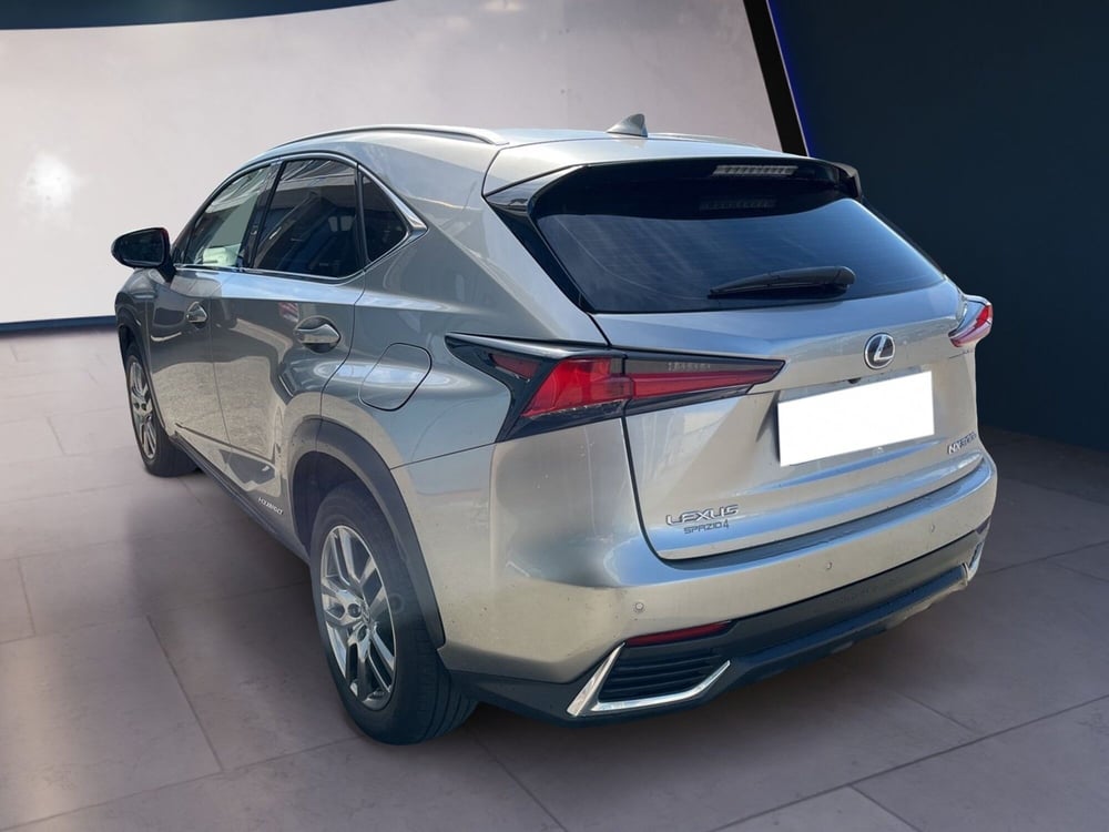 Lexus NX usata a Torino (5)