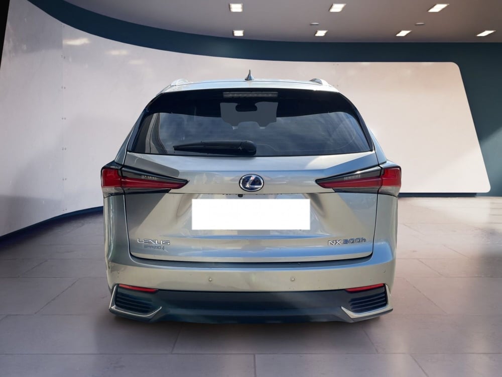 Lexus NX usata a Torino (6)