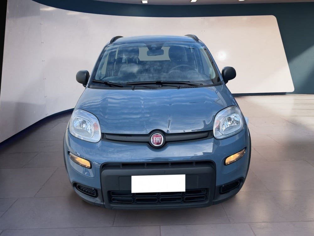 Fiat Panda usata a Torino