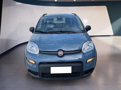 Fiat Panda 1.2 EasyPower City Life del 2022 usata a Torino
