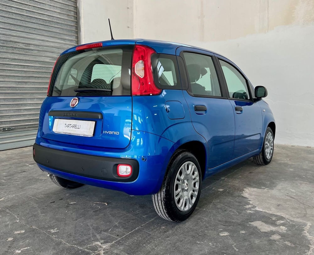 Fiat Panda Cross nuova a Bari (8)