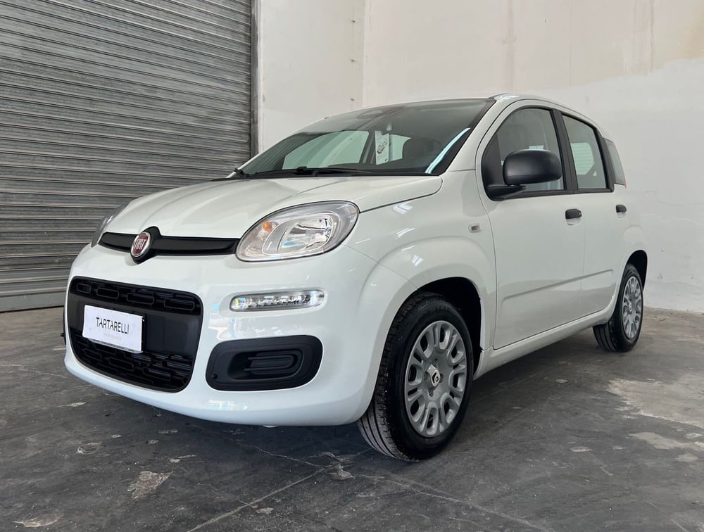 Fiat Panda nuova a Bari (3)