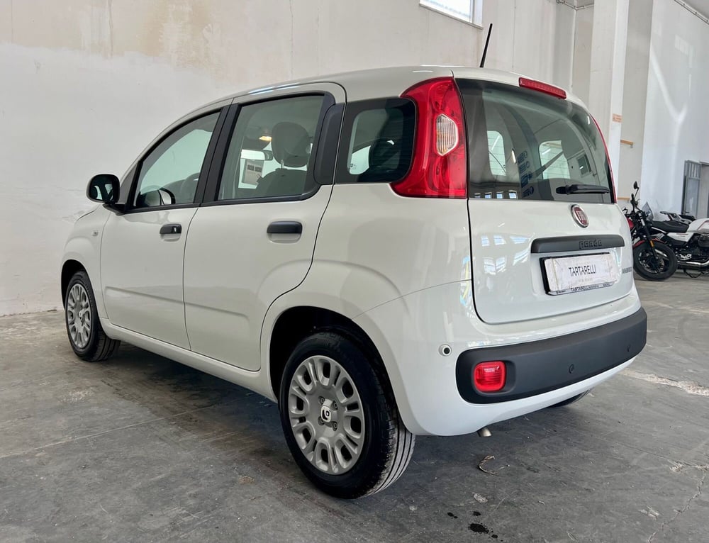 Fiat Panda nuova a Bari (5)