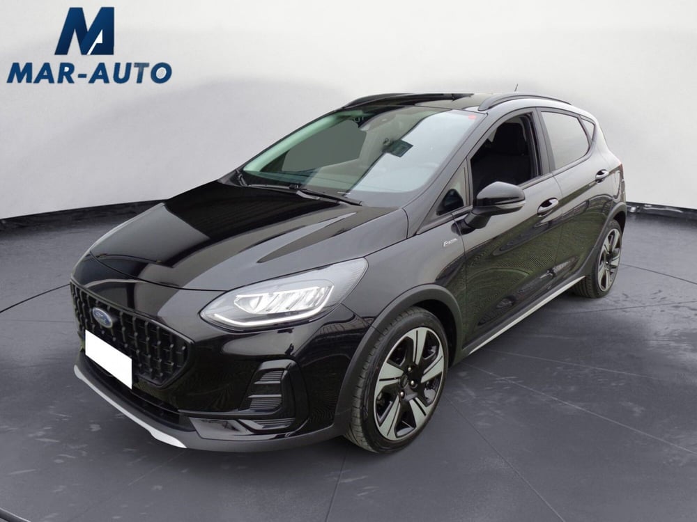 Ford Fiesta usata a Treviso