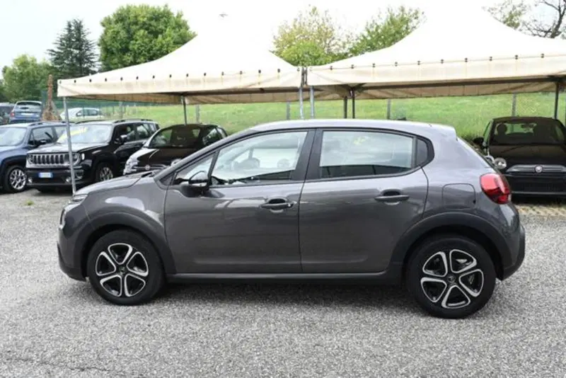 Citroen C3 usata a Torino (8)