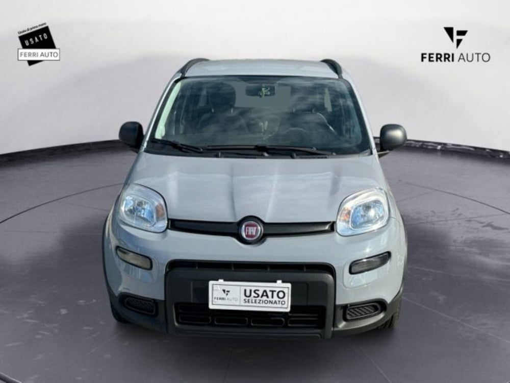 Fiat Panda usata a Treviso (2)