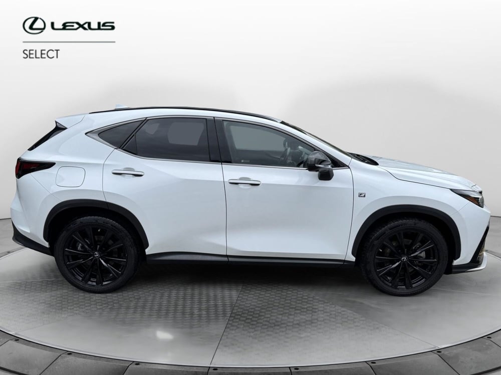 Lexus NX usata a Como (12)