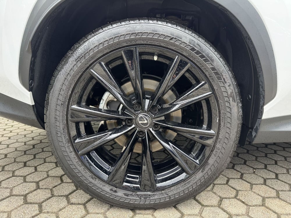 Lexus NX usata a Como (13)