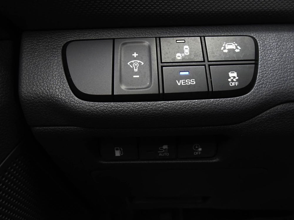 Hyundai Ioniq usata a Treviso (18)