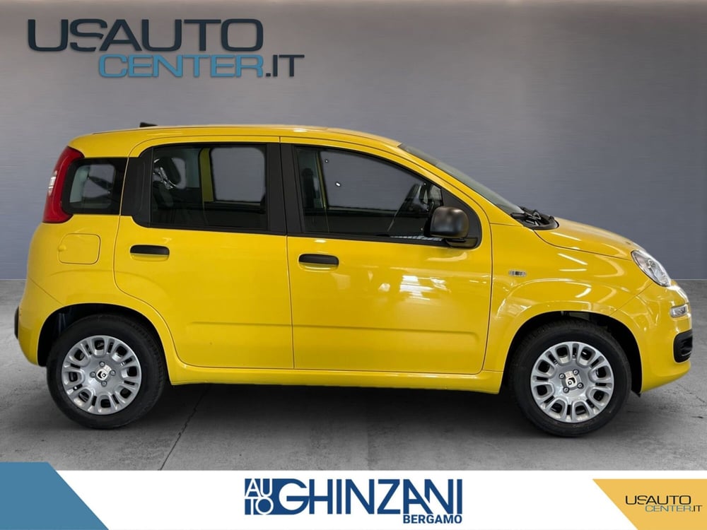 Fiat Panda Cross nuova a Bergamo (5)