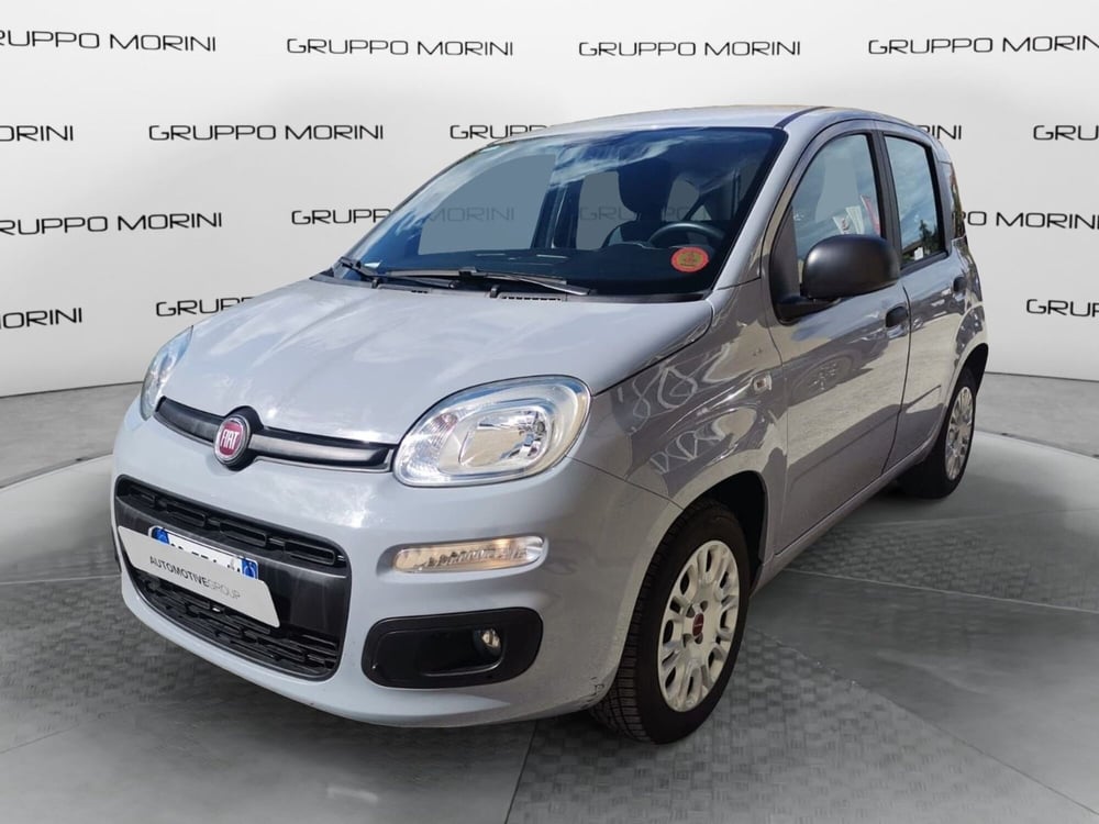Fiat Panda usata a Forlì-Cesena