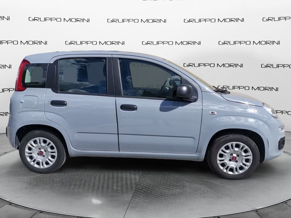Fiat Panda usata a Forlì-Cesena (2)