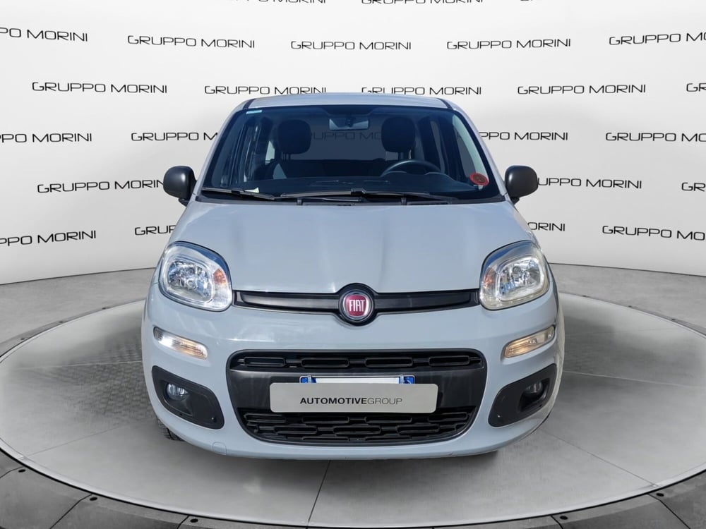 Fiat Panda usata a Forlì-Cesena (3)