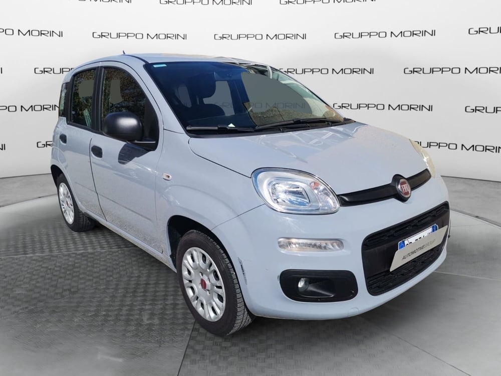 Fiat Panda usata a Forlì-Cesena (4)