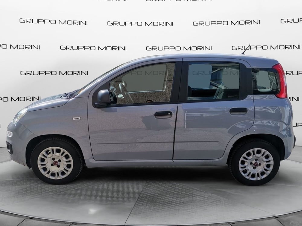 Fiat Panda usata a Forlì-Cesena (5)