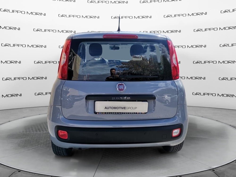 Fiat Panda usata a Forlì-Cesena (6)