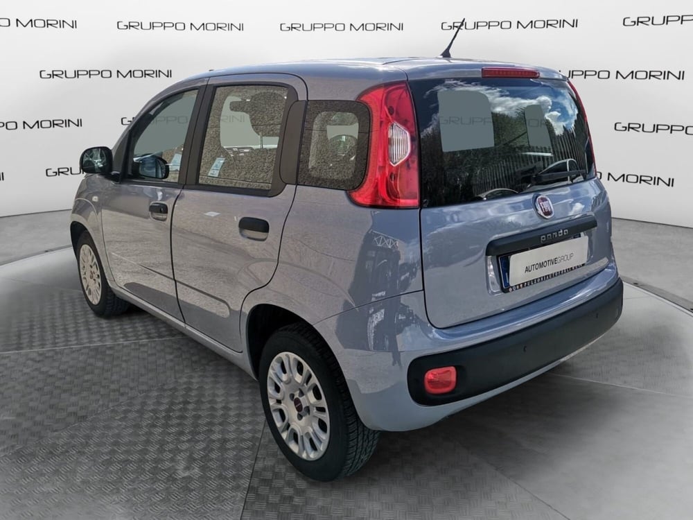 Fiat Panda usata a Forlì-Cesena (7)