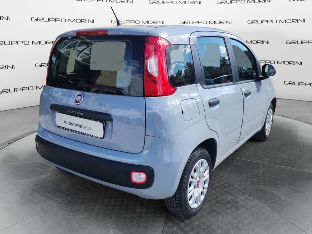 Fiat Panda usata a Forlì-Cesena (8)