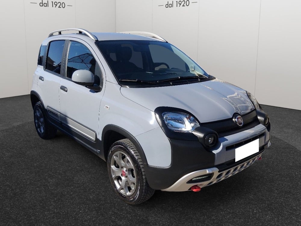 Fiat Panda Cross usata a Pescara (7)