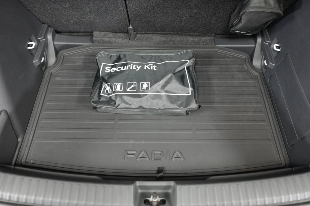 Skoda Fabia usata a Varese (20)