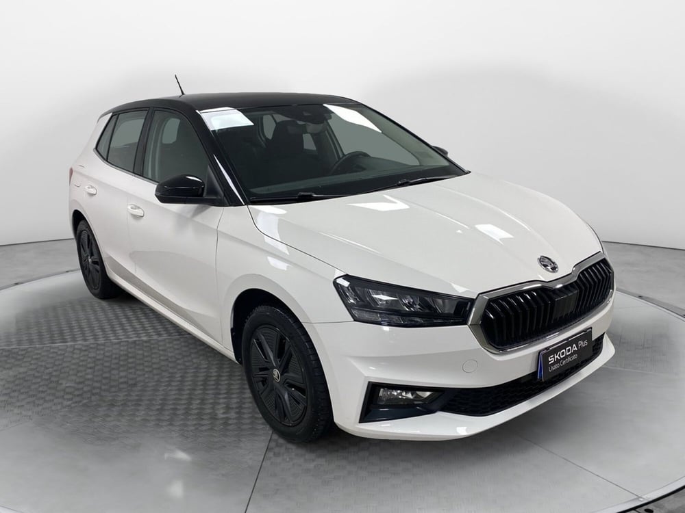 Skoda Fabia usata a Varese (3)