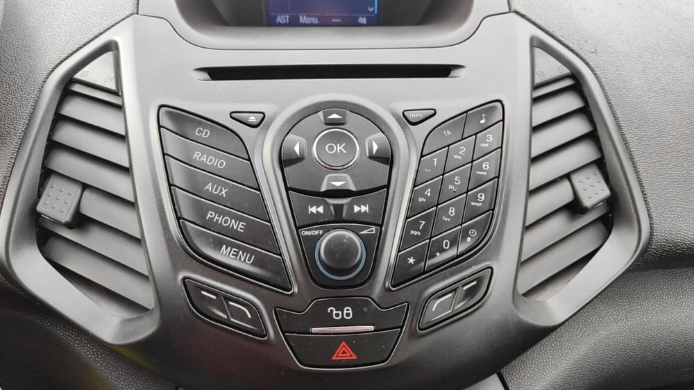 Ford EcoSport usata a Firenze (20)